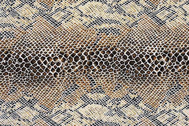 istock texture of fabric striped snake leather 521930649