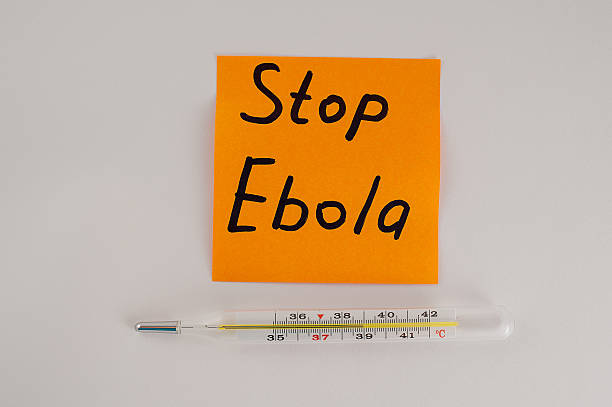 istock inscription stop Ebola, thermometer 521934819