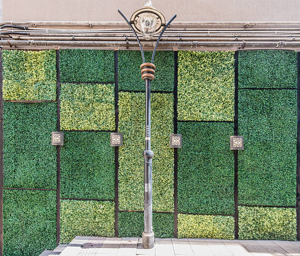 istock grass wall design Soho Central Hong Kong 521936313