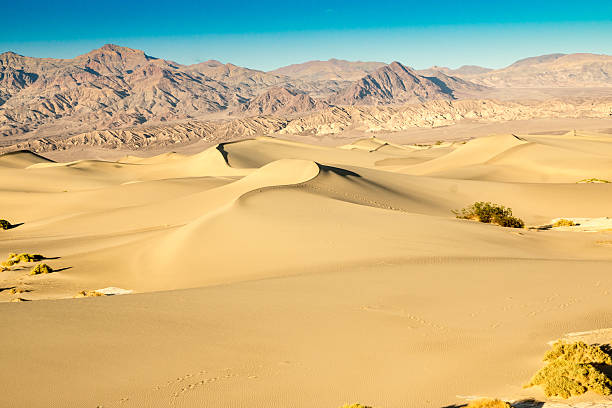 istock Sand Dunes in Death Valley 521953229