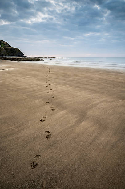 istock Footprints on beach Summer sunset landscape 521953899