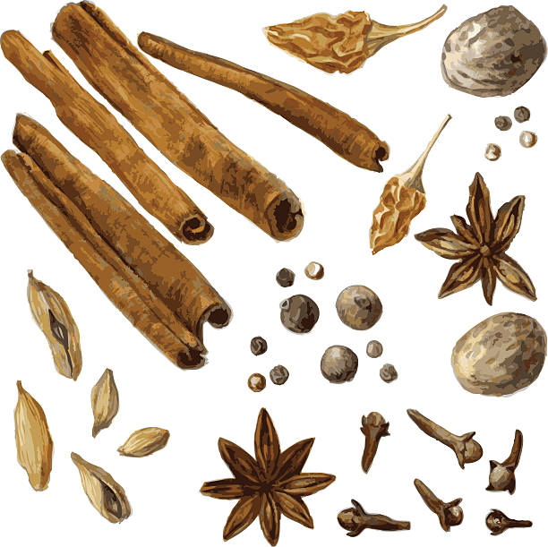 set of spice, drawing by watercolor set of spice, drawing by watercolor, hand drawn vector illustration cinnamon sticks cloves stock illustrations