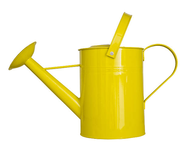 istock Yellow watering can isolated on a white background 521956451