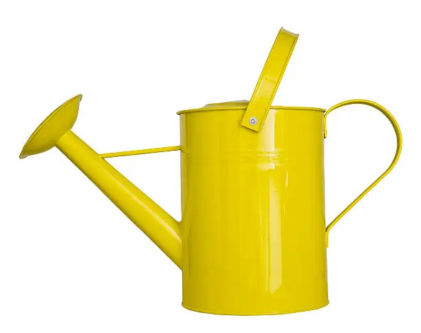 Yellow watering can isolated on a white background clipping path