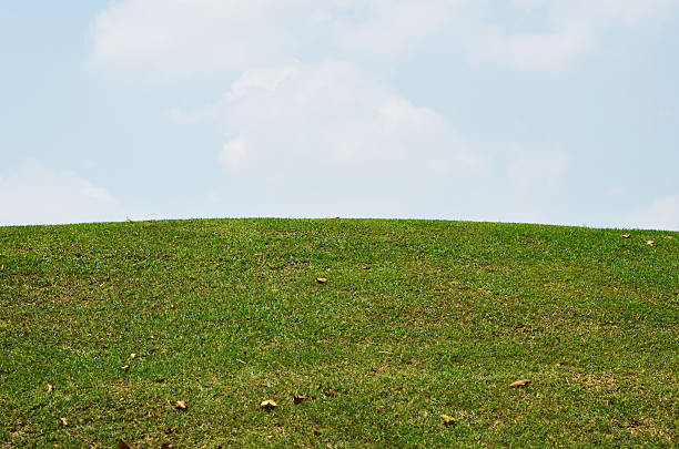 istock grass  in the golf club and cloud 521957503
