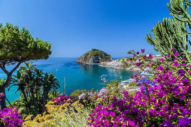 A view of Sant'Angelo in Ischia island in Italy: Tyrrhenian sea, bougaiunvillea glabra, rocks,  water, umbrella, sand and old typical houses in the island in front of Naples in Campania region in a sunny day