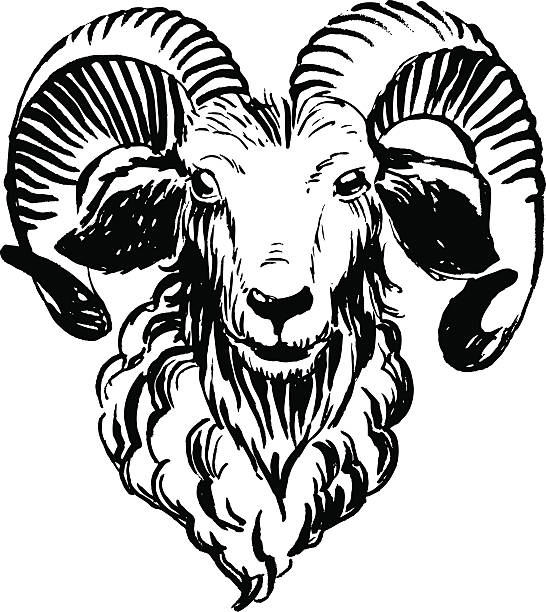 マーカー手描きの農場の動物。 ram （羊）。 - ram bighorn sheep animal head animal themes点のイラスト素材／クリップアート素材／マンガ素材／アイコン素材