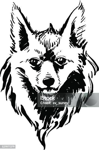 Marker Handdrawn Forest Animals Fox Stock Illustration - Download Image Now - Animal, Animal Body Part, Animal Hair