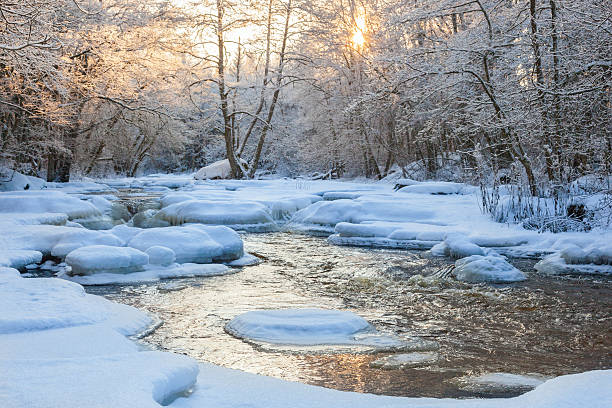 冬に流れる川 - tranquil scene tree sunset snow ストックフォトと画像