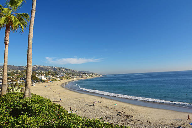 istock Laguna Beach Coastline & Gardens 521971971