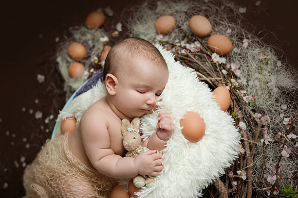 istock baby sleeps in a nest 521975676