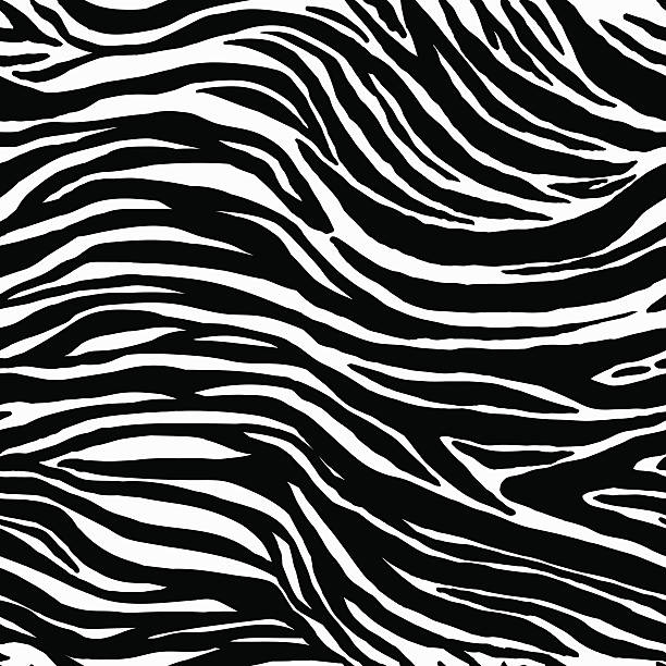 ilustrações de stock, clip art, desenhos animados e ícones de textura sem costura animal de zebra padrão - hide leather backgrounds textured