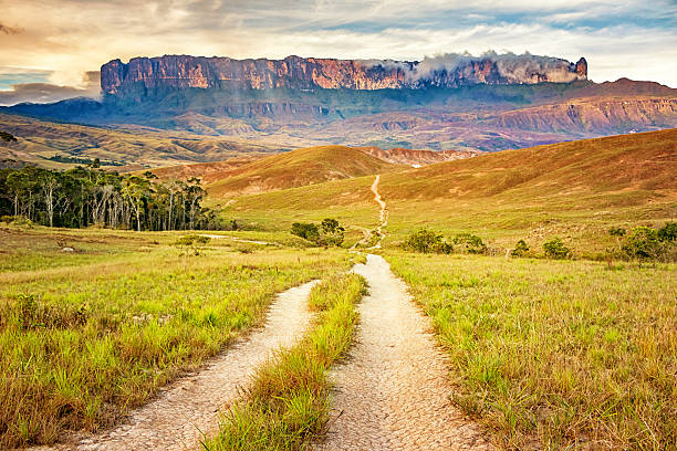 Mount Roraima Venezuela Landscape photo with dirt road leading towards Mount Roraima in Venezuela, South America. mount roraima south america stock pictures, royalty-free photos & images