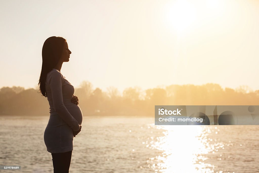 Beautiful pregnant woman Beautiful smiling pregnant holding her belly Pregnant Stock Photo