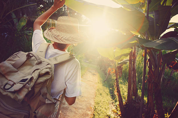 istock Woman traveler walking through palm trees 521978864