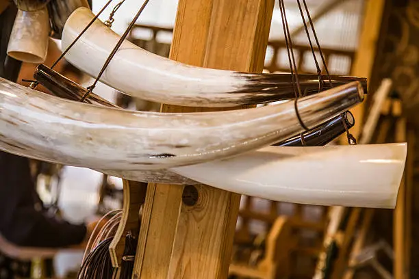 hanging ornament ivory tusk horns