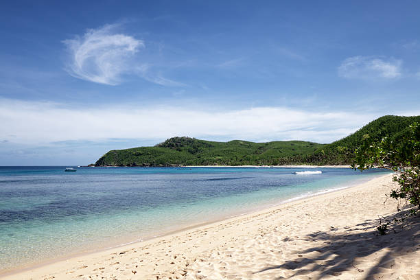 istock Tropical beach in Fiji 521983006