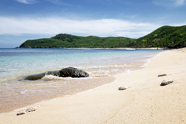 istock Tropical beach in Fiji 521983030