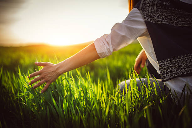 istock Hand touching  plants in a field 521988970