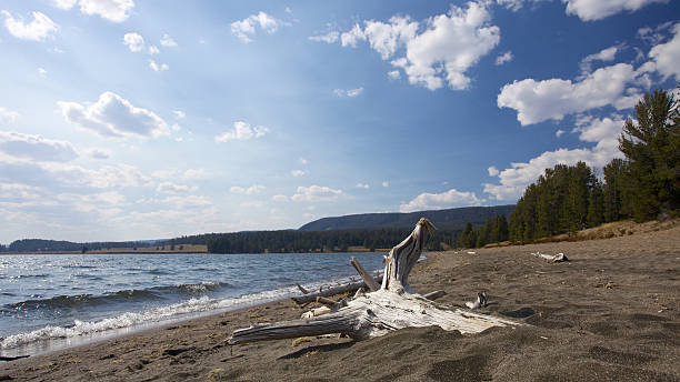 Yellowstone Lake Beach stock photo