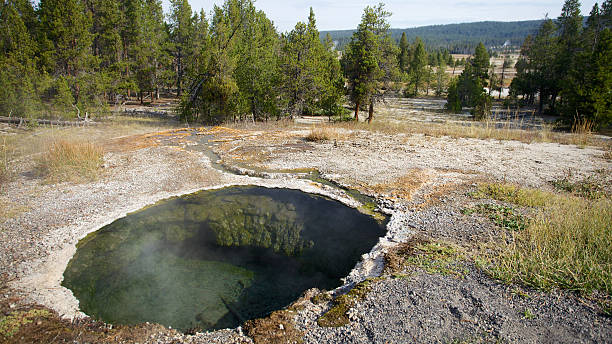 Yellowstone National Park Spring stock photo