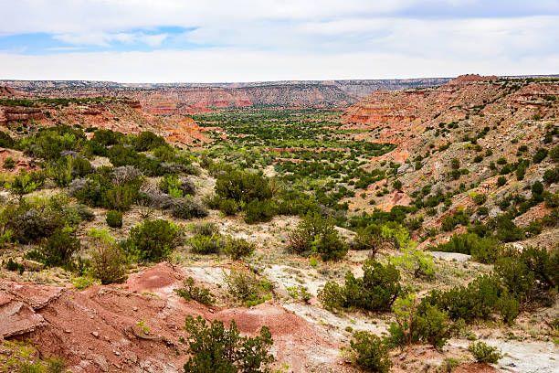 istock Palo Duro Canyon State Park 521993282
