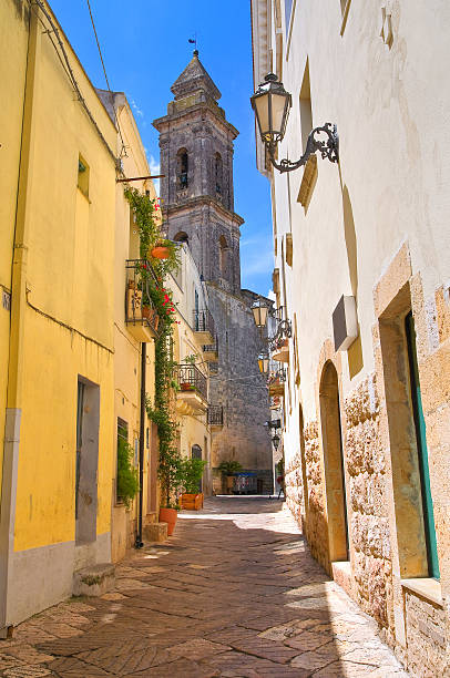 istock Alleyway. Altamura. Puglia. Italy. 521993431