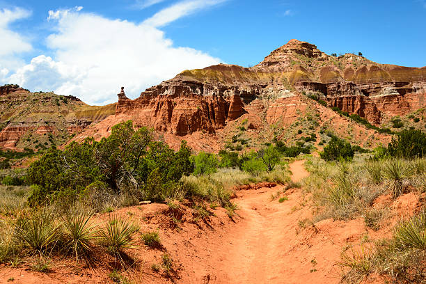istock Palo Duro Canyon State Park 521993518