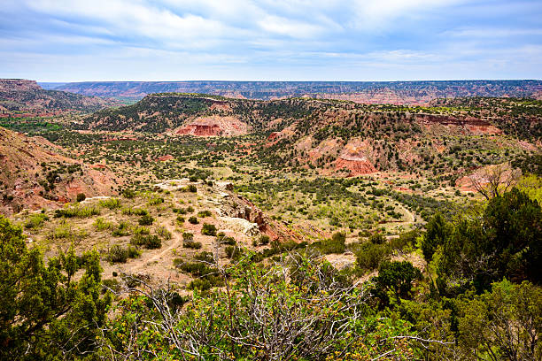 istock Palo Duro Canyon State Park 521993556