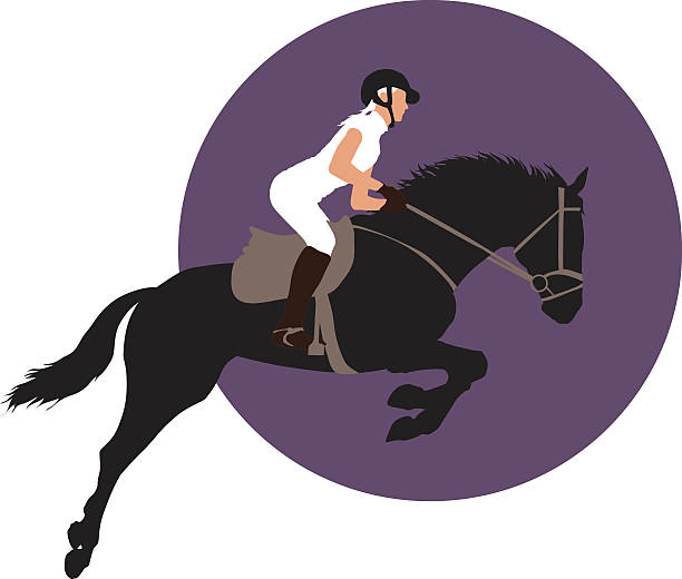 ilustrações de stock, clip art, desenhos animados e ícones de desporto equestre design - hurdling hurdle vector silhouette