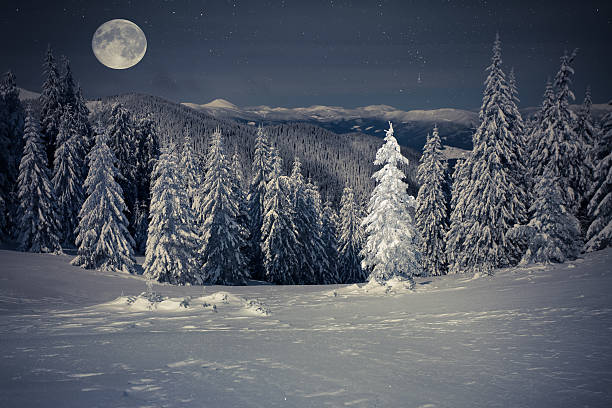 istock Beautiful winter landscape in the mountains 521995035