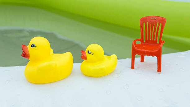 istock Family rubber duck swimming water 521996144