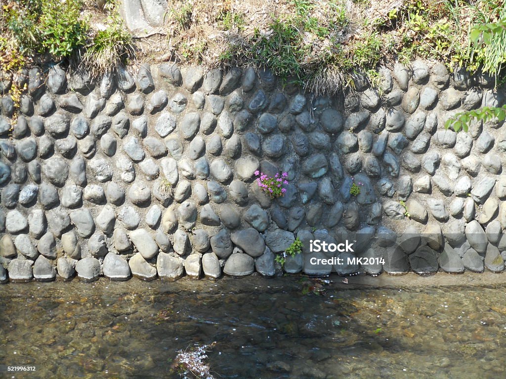 Tamagawajosui Stone wall Bridge - Built Structure Stock Photo