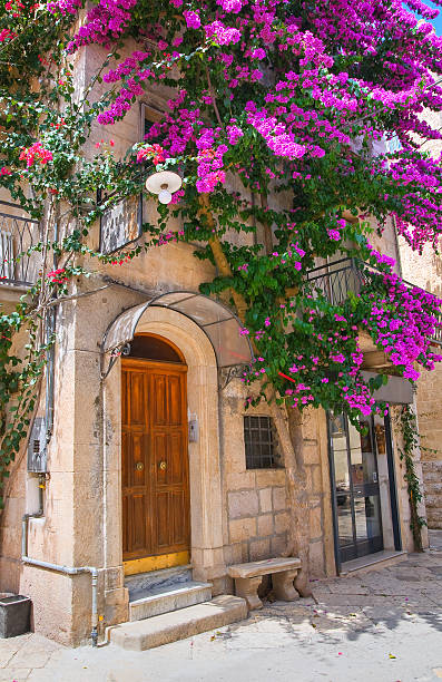 istock Alleyway. Altamura. Puglia. Italy. 521996485