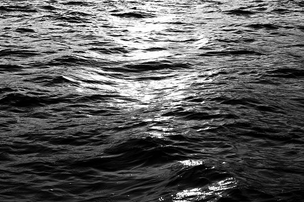 istock Black and white sun reflections on sea 521997410
