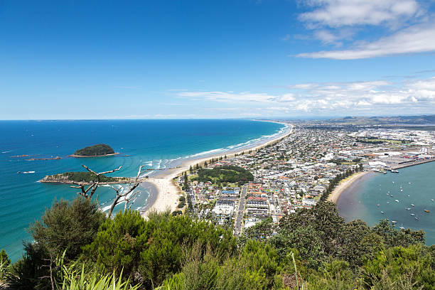 vista da cidade de tauranga, baía plenty, nova zelândia - tauranga imagens e fotografias de stock