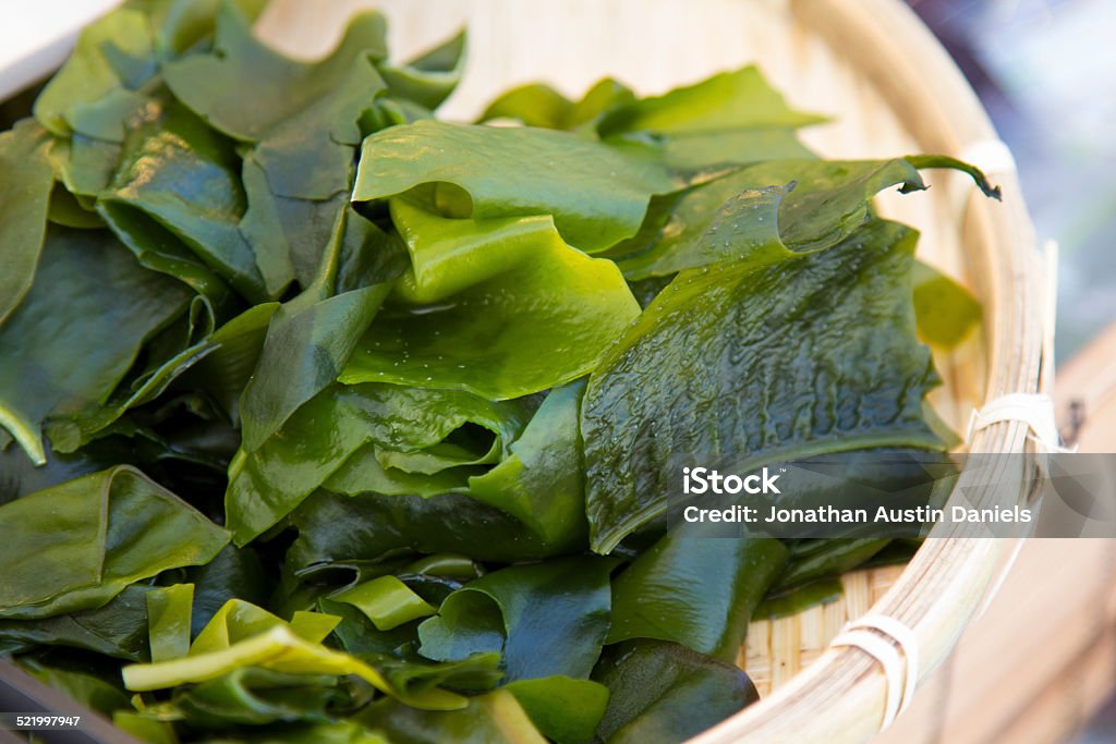 Wakame Wakame, or edible seaweed, is popular in Japan. Seaweed Stock Photo
