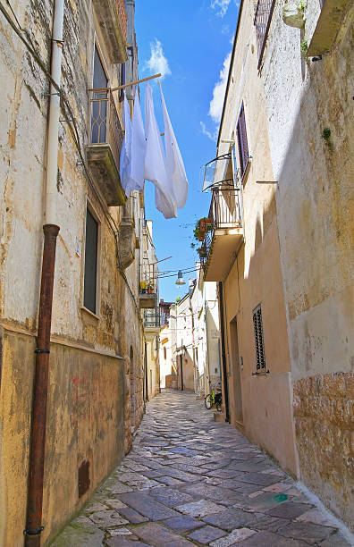 istock Alleyway. Altamura. Puglia. Italy. 521999203