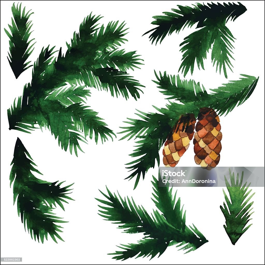 Spruce branches, vector Botany stock vector