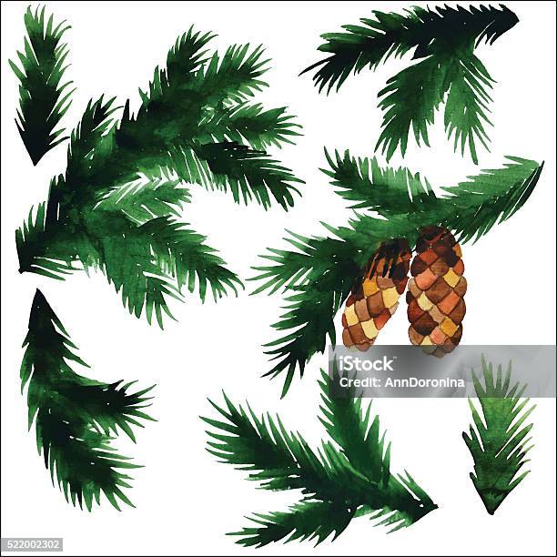 Spruce Branches Vector Stock Illustration - Download Image Now - Botany, Branch - Plant Part, Coniferous Tree