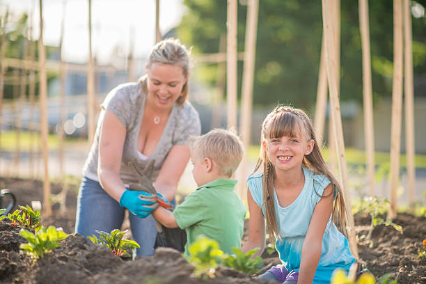 istock Gardening as a Family 522003258