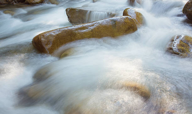 nice magnifique le torrent de la montagne - middle prong photos et images de collection