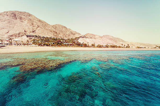 istock Red Sea with Coral Reefs 522006692