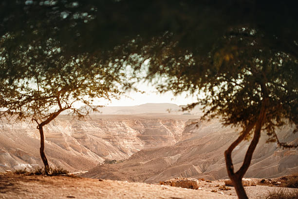 istock View from Oasis on Negev Desert 522006850
