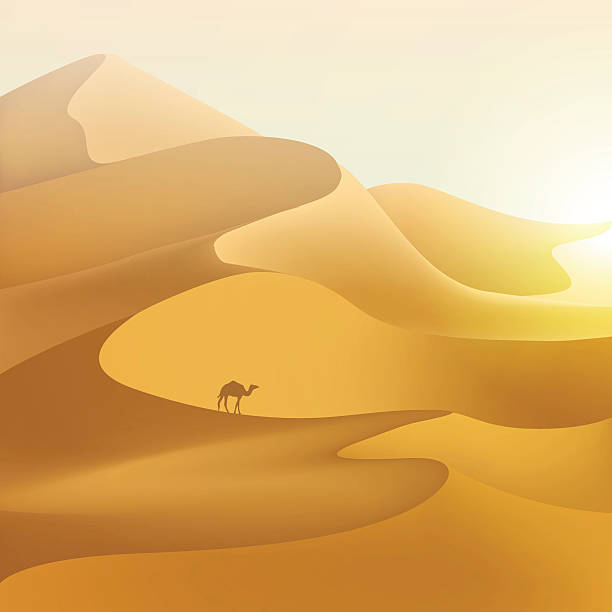 ilustraciones, imágenes clip art, dibujos animados e iconos de stock de paisaje del desierto de dunas. - morocco desert camel africa