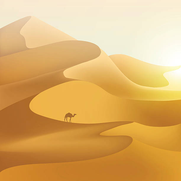 illustrazioni stock, clip art, cartoni animati e icone di tendenza di dune del deserto paesaggio. - camel desert travel safari