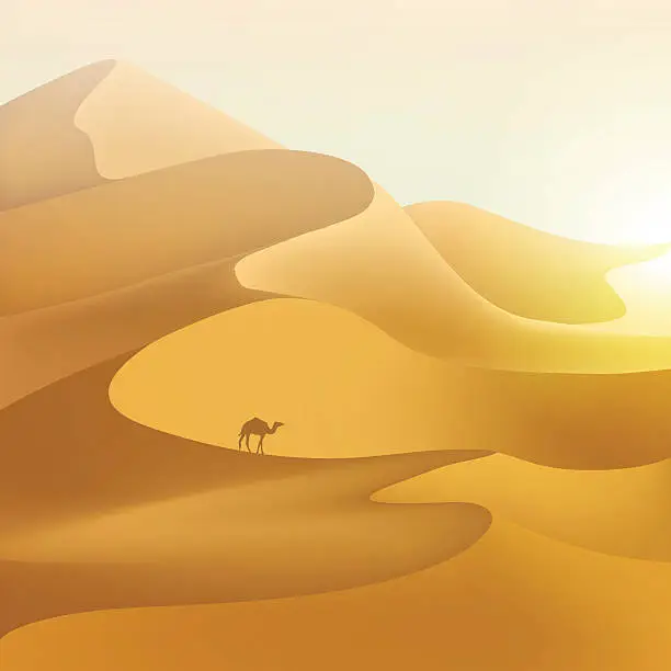 Vector illustration of Desert dunes landscape.