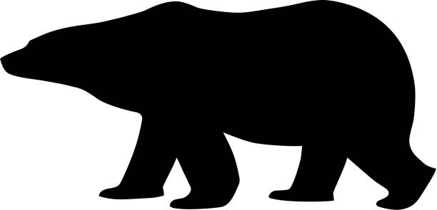 illustrazioni stock, clip art, cartoni animati e icone di tendenza di sagoma di un orso polare, vista laterale - polar bear endangered species bear arctic