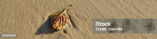 Leaf On Sand Stock Photo - Download Image Now - Simrishamn, Beach, Color Image