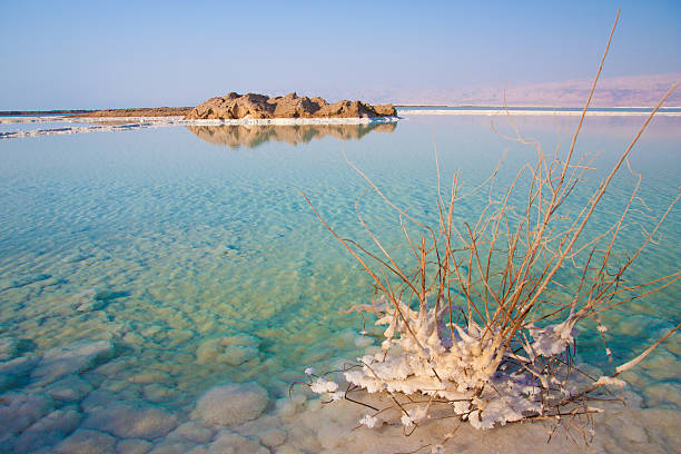 istock Unique natural phenomenon - the Dead Sea 522017971